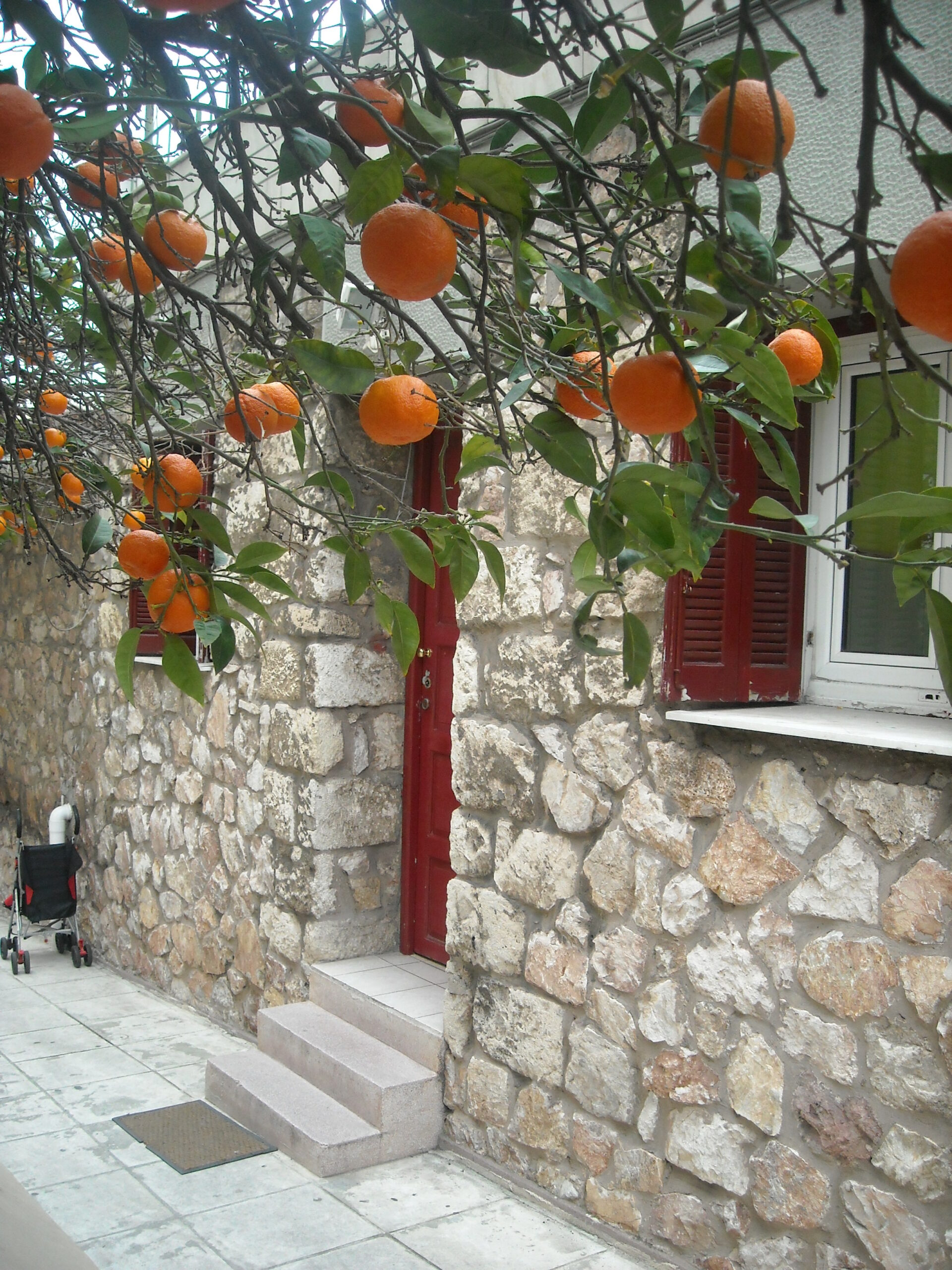 Nursery Image